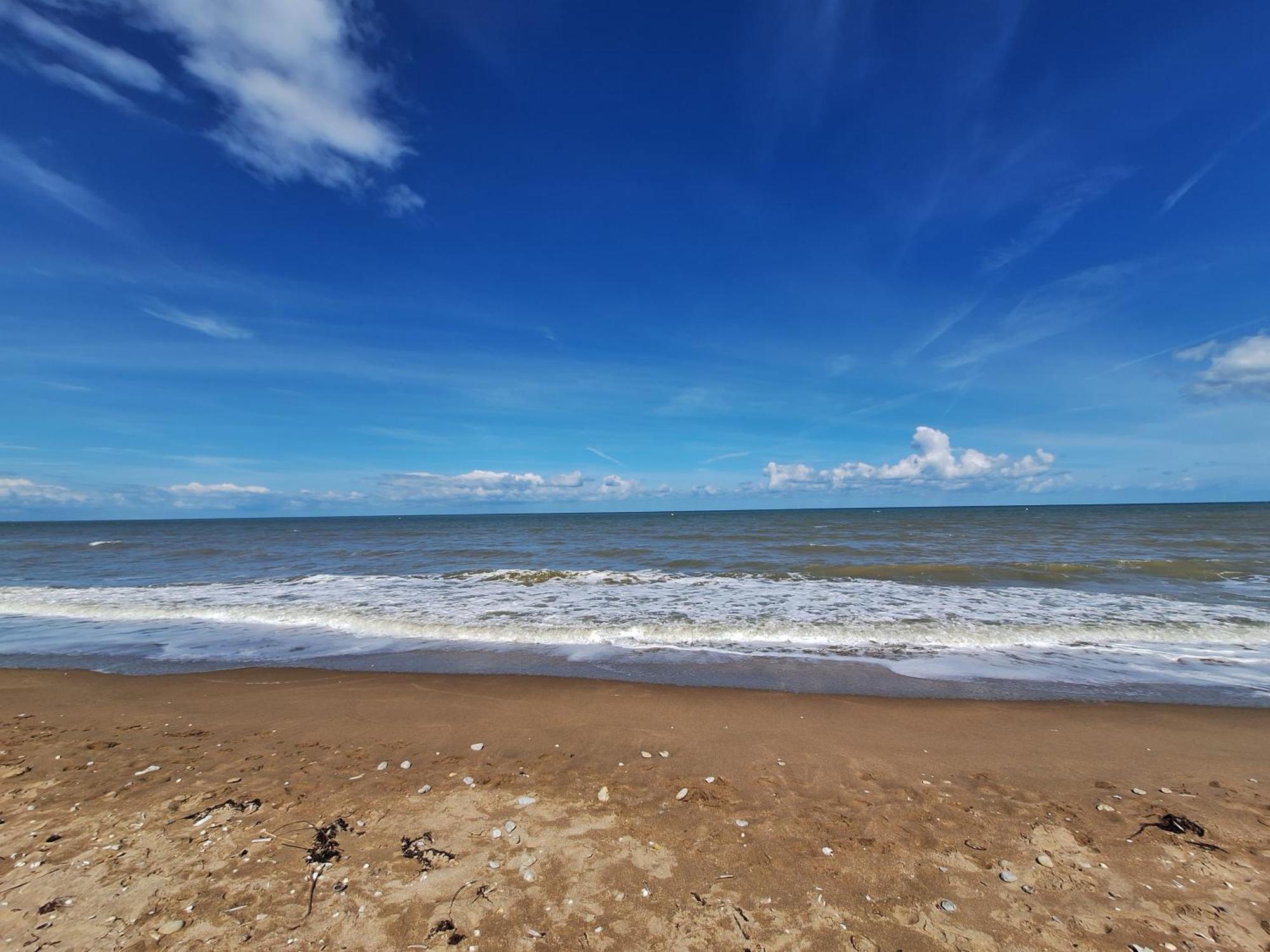Super Deauville Appartement 2 Pieces Cosy Proche Plage Plein Sud Вілле-сюр-Мер Екстер'єр фото